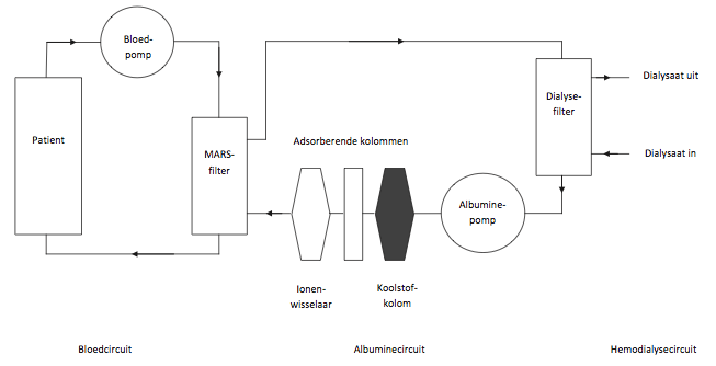 Extracorporele_Pont_afbeelding_4.png