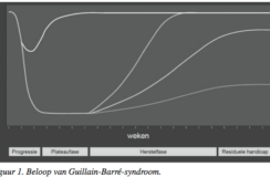 Guillain-Barré syndroom