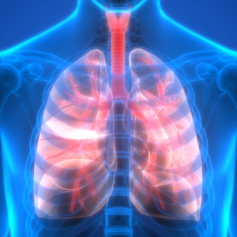 Micro-organismen in longen voorspellen herstel IC-patiënt