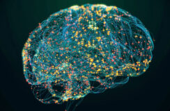 Webinar Neurologie