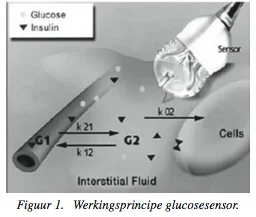 Continue_Glucoseregulatie_figuur_1.png