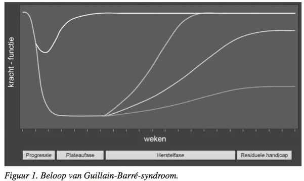 Guillain_Barre_syndroom_figuur_1.png