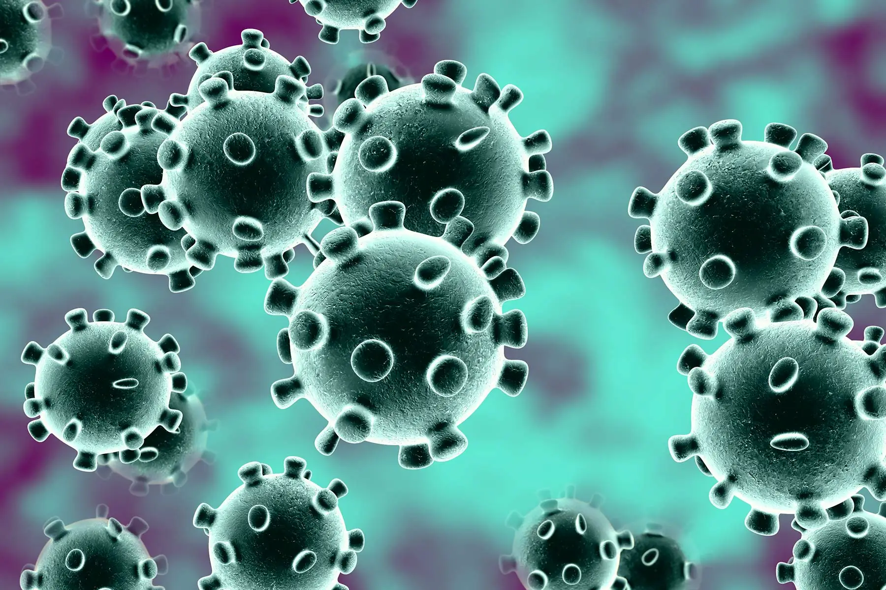 coronavirus-2.jpg