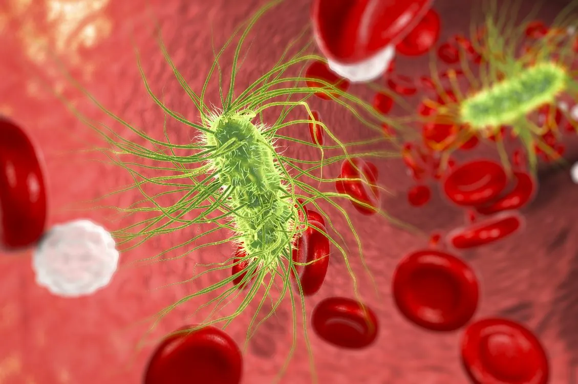 sepsis-9-nb.jpg