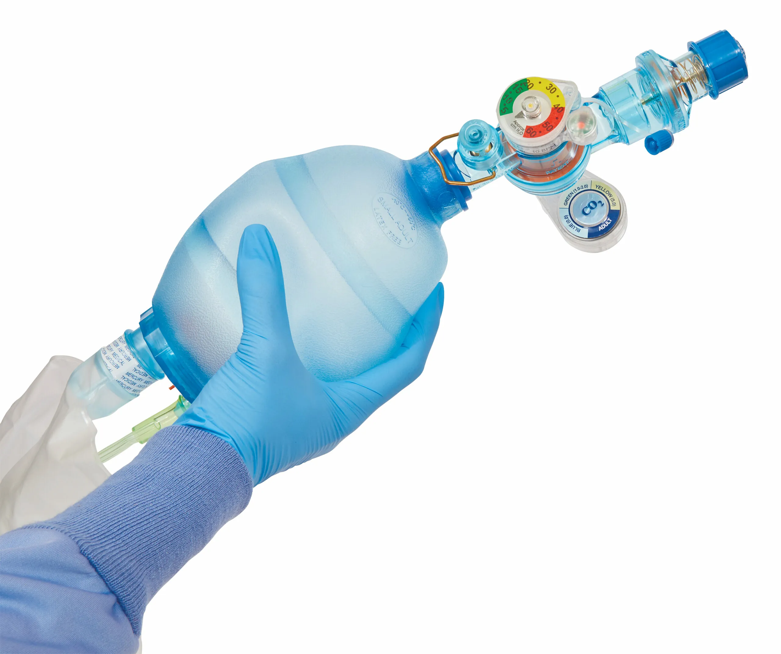 Small-Adult-CPR-2_cover-1.jpg