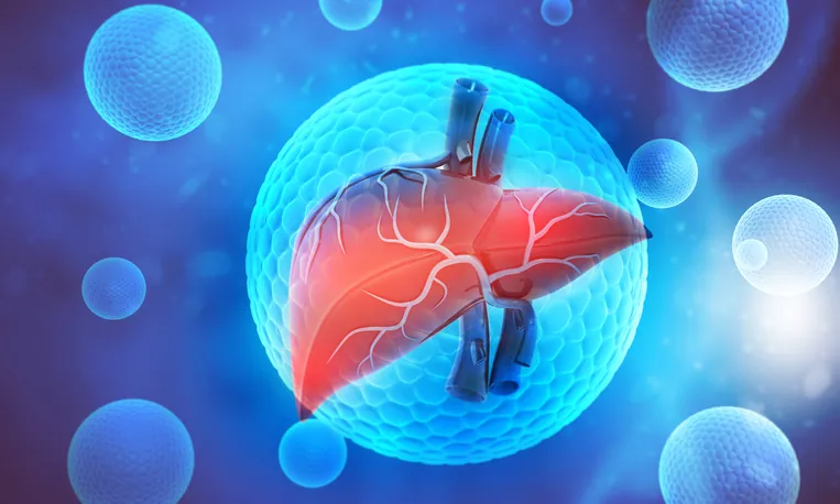 hepatitis-basis.jpg